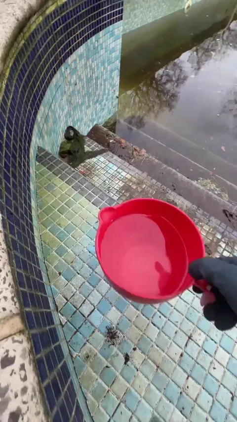 Deep cleaning a pool