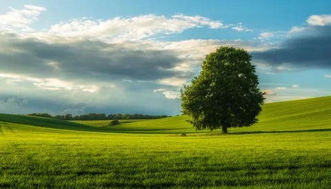 Stormy Spring Evening Buckinghamshire UK [OC] [6500x3705]