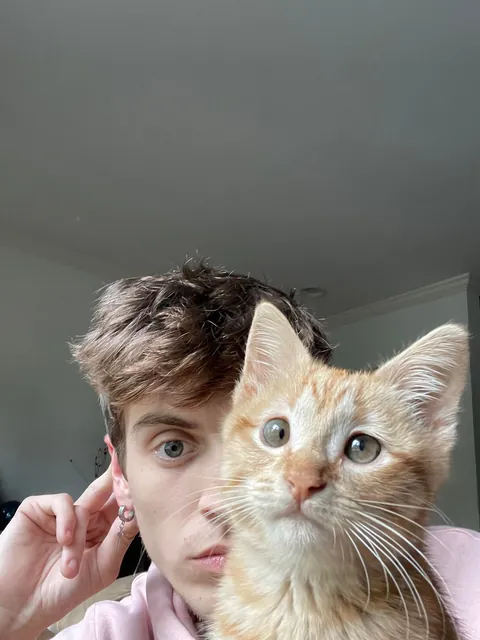 I’ve lost my best friend Link