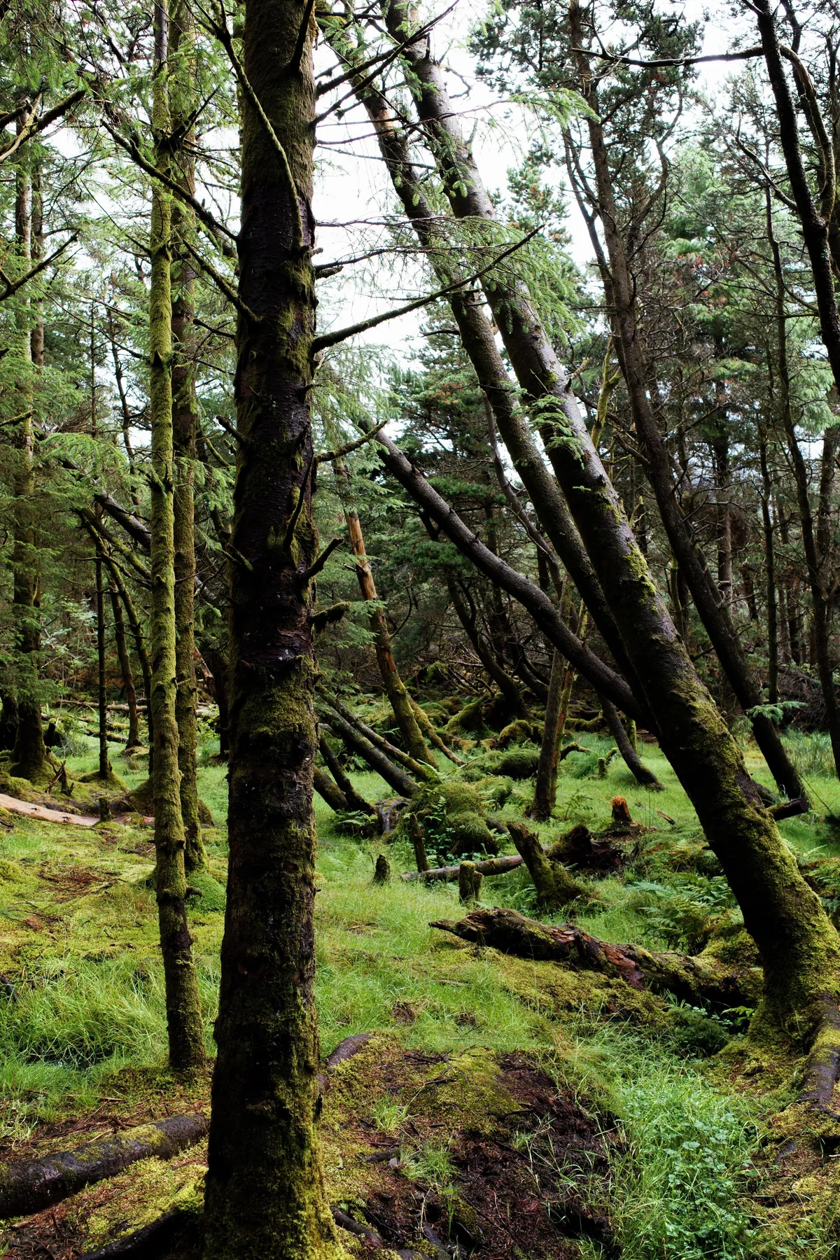 Isle of Skye, Scotland 🏴󠁧󠁢󠁳󠁣󠁴󠁿