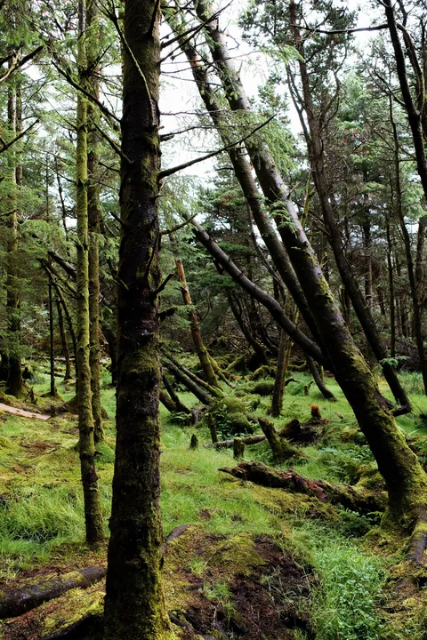 Isle of Skye, Scotland 🏴󠁧󠁢󠁳󠁣󠁴󠁿