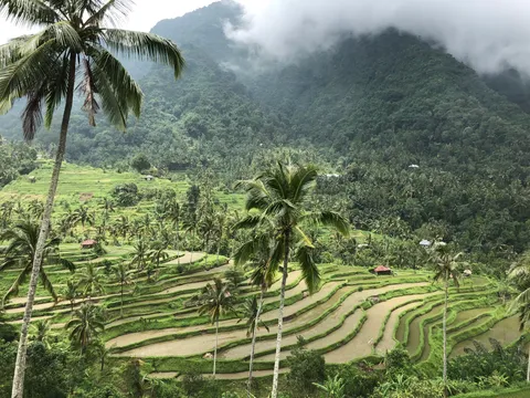 Bali needs no filter. Truly a paradise.