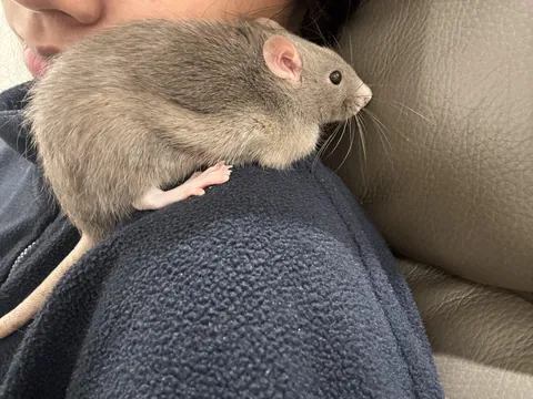 I can’t tell if she likes this 😭