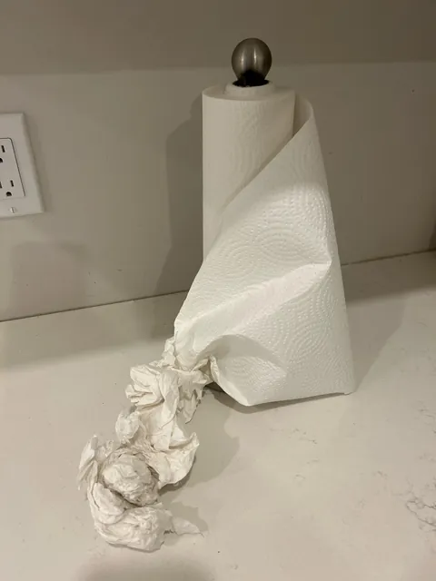 How my wife dries her hands and leaves the paper towels attached