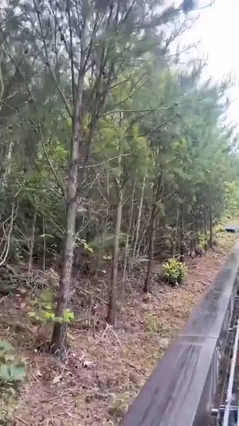 It’s not moving fast enough