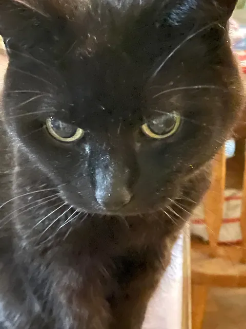 22 Years Old and Still Runs The House