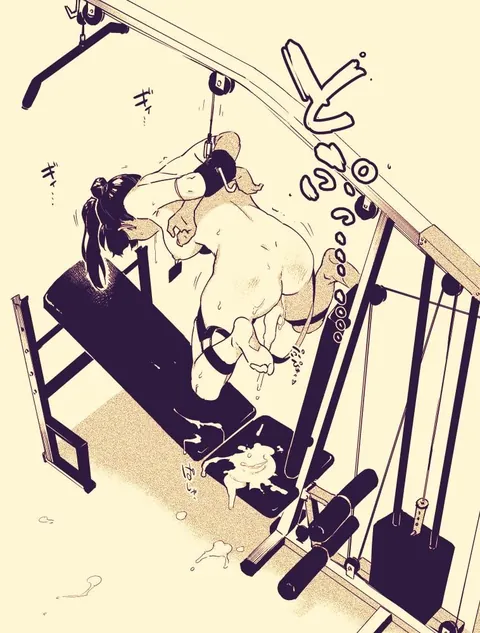 Multi purpose Gym Equipment