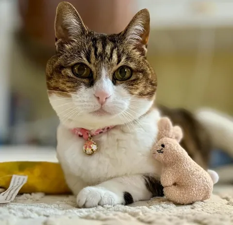 My Best Friend Sarah