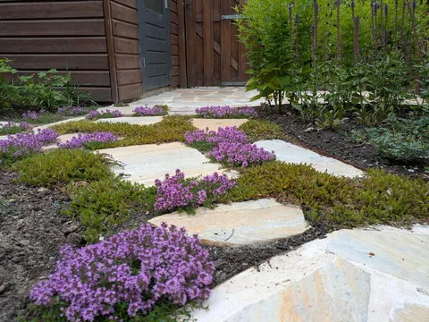 The first season of my flower garden