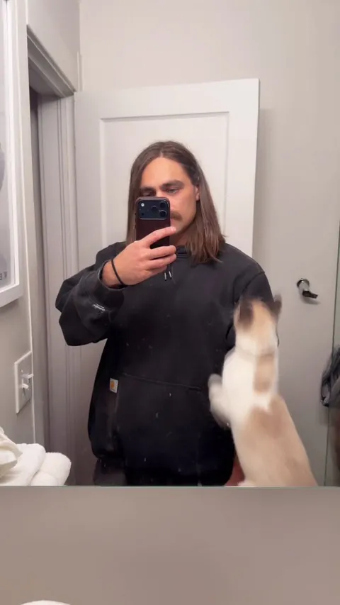 Does anyone else have a cat that is obsessed with perching?