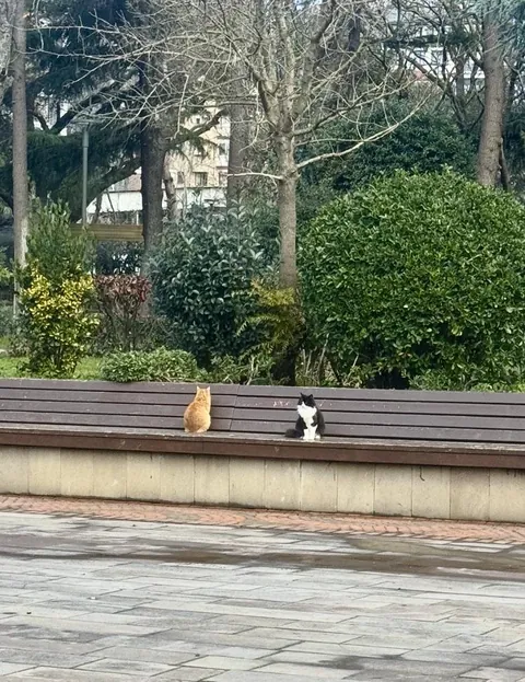 Looks like someone’s having a rough Valentine’s Day.