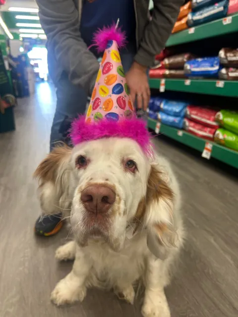 HAPPY BIRTHDAY HELGA! Today our sweet girl turns 6! 💕