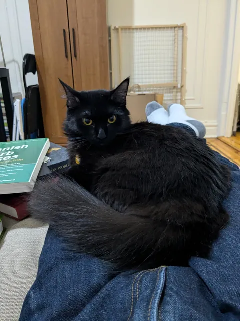 I'm overdue to share my baby, Nessa