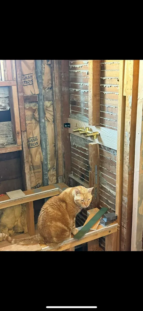 My husband and his cat remodeled our bathroom. He’s a tough foreman (the cat)