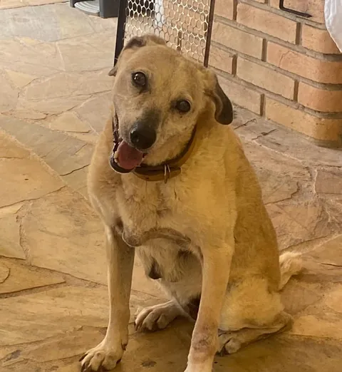 No matter how many years pass. You are still my baby, I will always take care of you ❤️