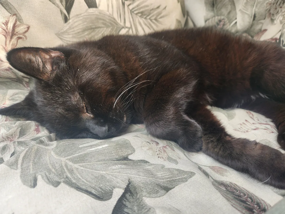 Somehow we are at 22! I love you Sammy ♥️