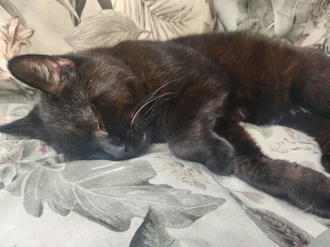 Somehow we are at 22! I love you Sammy ♥️