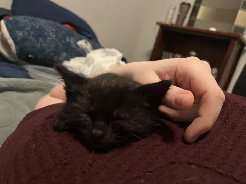 Craziest DoorDash tip of all time; ADVICE NEEDED