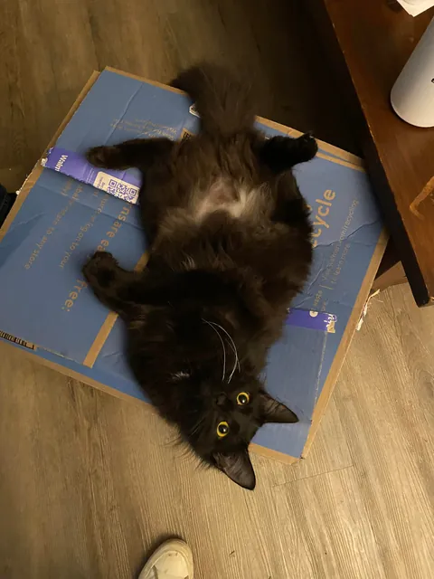 Before and After: Happy First Birthday Maevis!