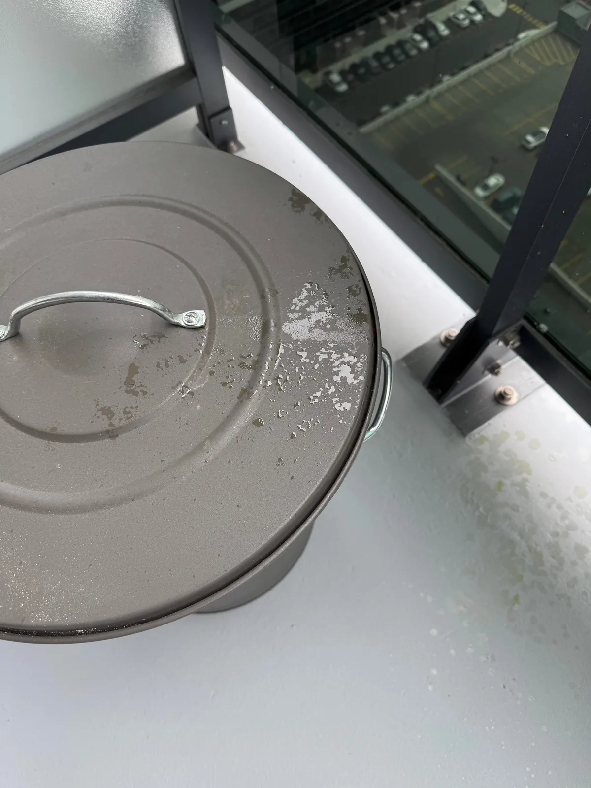 Wanted to enjoy my balcony this morning but…