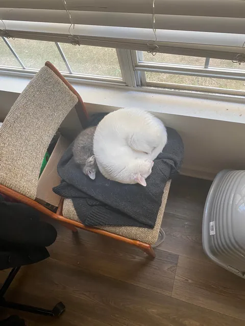 My boy is the best nanny I could ever ask for