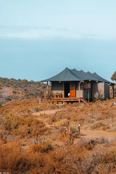 We spent a month in South Africa for our honeymoon. And we'd do it again. 