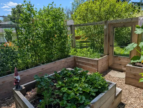 Caged bed garden, prison?