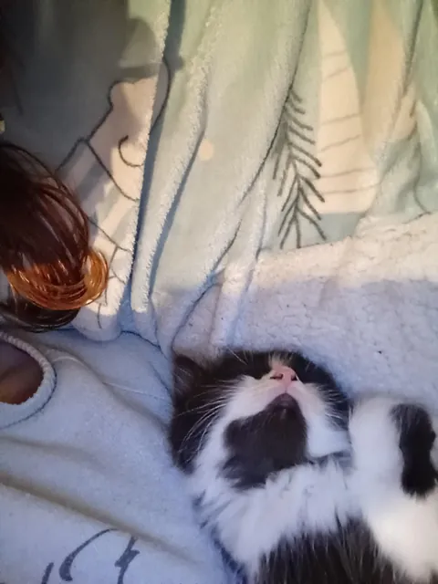 She might have a favourite sleeping position