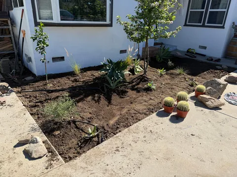 Small Front Yard Overhaul - Desert Landscape with Dry Creek in SoCal