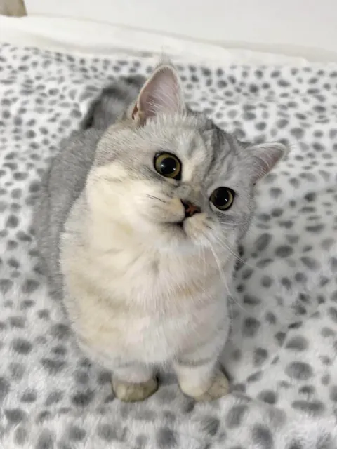 I’ve hired this cat to keep an eye on you