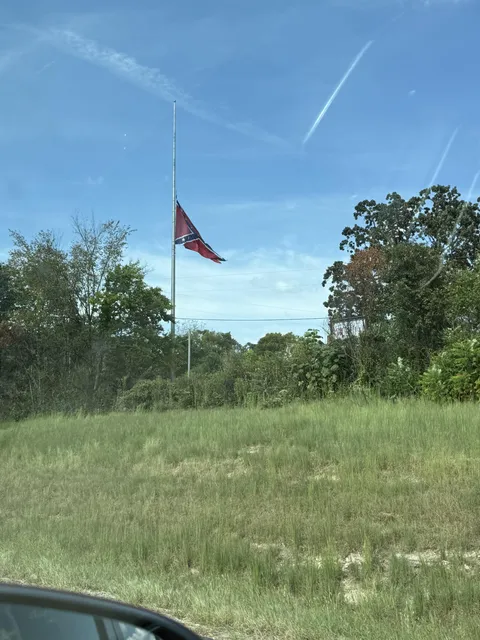 [OC] interesting flag at half staff in GA