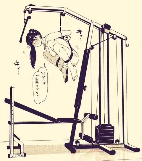 Multi purpose Gym Equipment