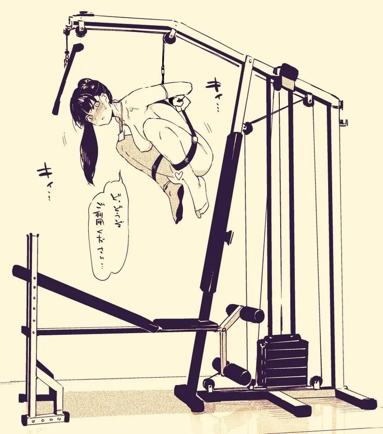 Multi purpose Gym Equipment