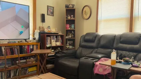 My 16 year old cat (who never seen a cat she liked) just mesmerized by cats on TV.