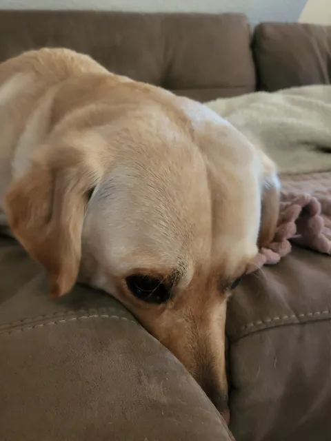 I suspect she is hiding something! 