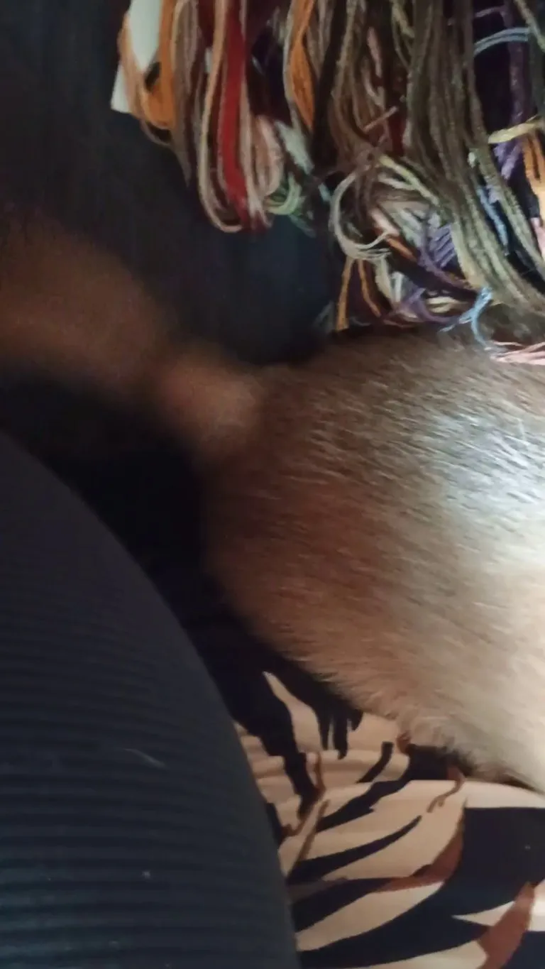 Idk what he's dreaming about, but he's happy.