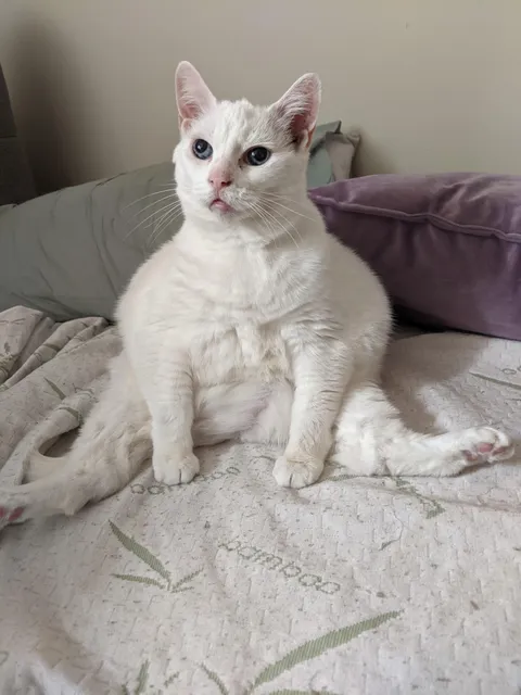 My baby just had her sweet sixteen. Happy birthday Dinah 💕