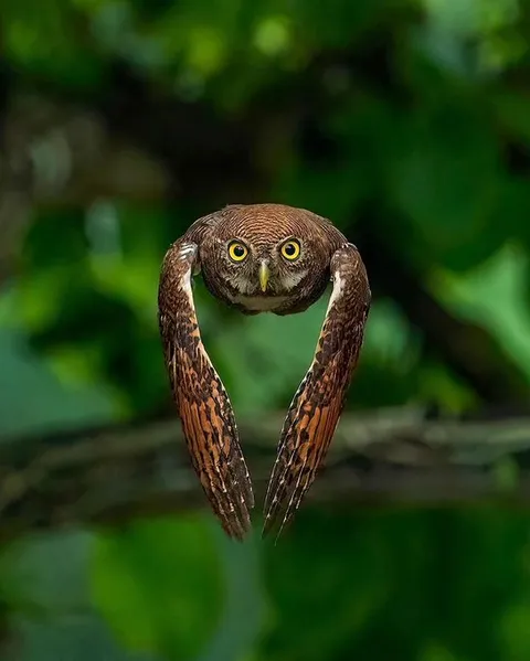 Perfect shot!

📸: Dipin Sreepadmam