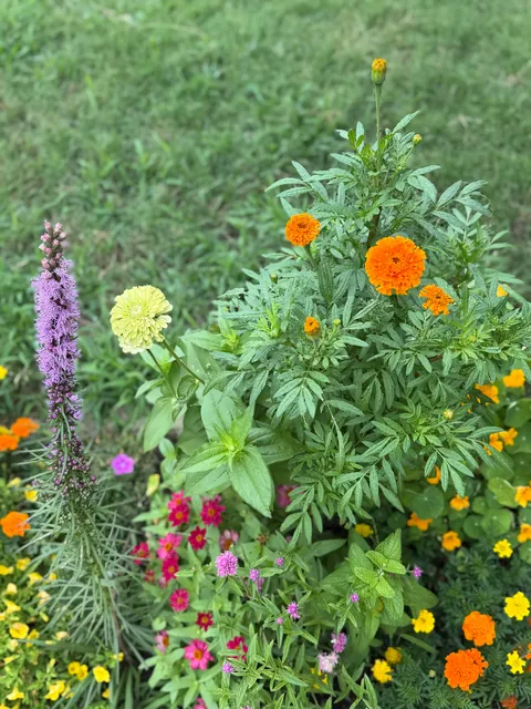 First garden (UPDATE)