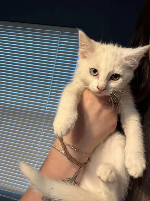 Guess her name! (I’ll tell you if you’re right)