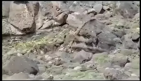 He has been judging the hikers all day.