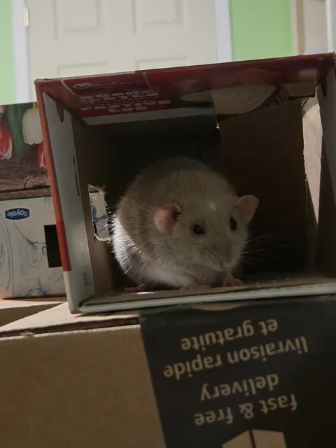 WHY IS JIMILY SO PHOTOGENIC