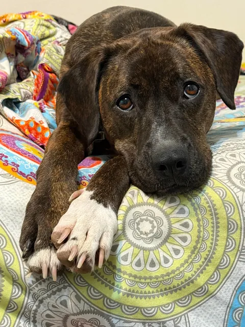 My mommy says I’m a very pretty girl