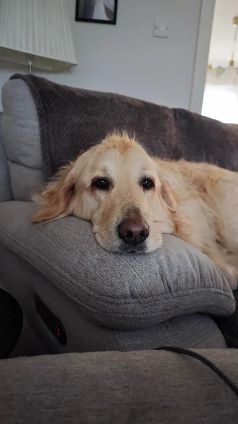 Teddy aka Dennis the menace ft ruby 😂