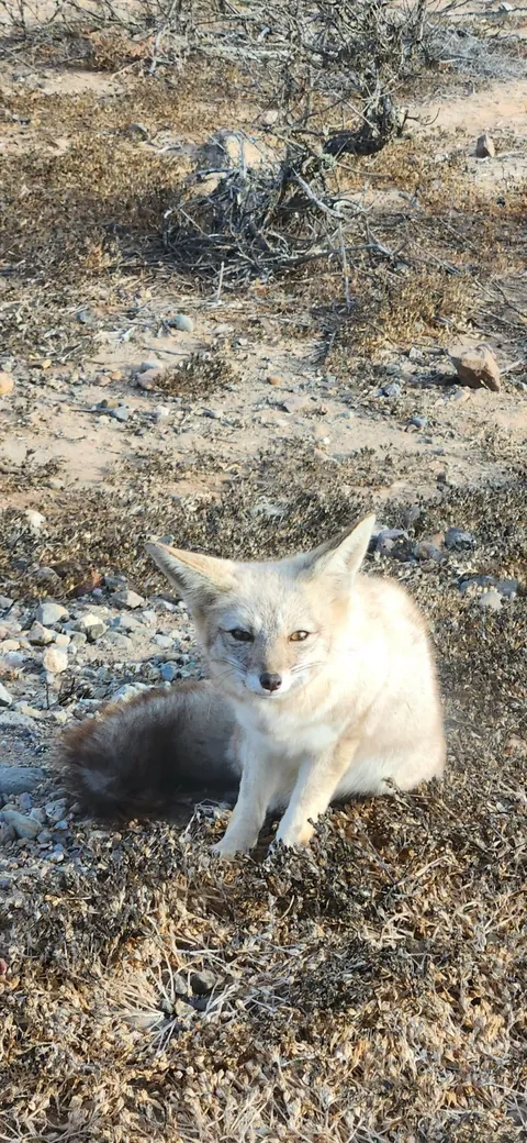 A few pics from my first time in Chile