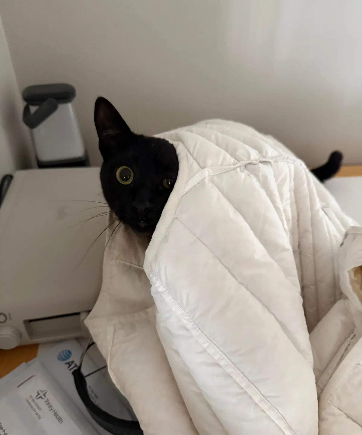 Soup Update: HE IS AN ADULT!!!