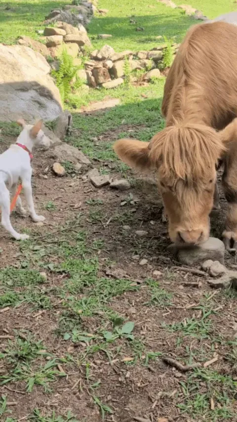 Friends come in all shapes and sizes