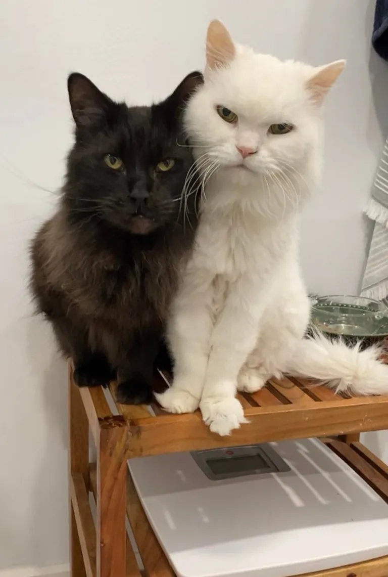 My Void with his Cloud 