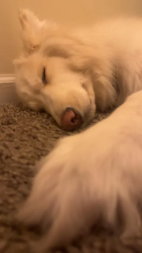 I promise she’s real!!