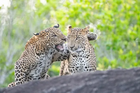 🔥 19 images from the Comedy Wildlife People's Choice Awards